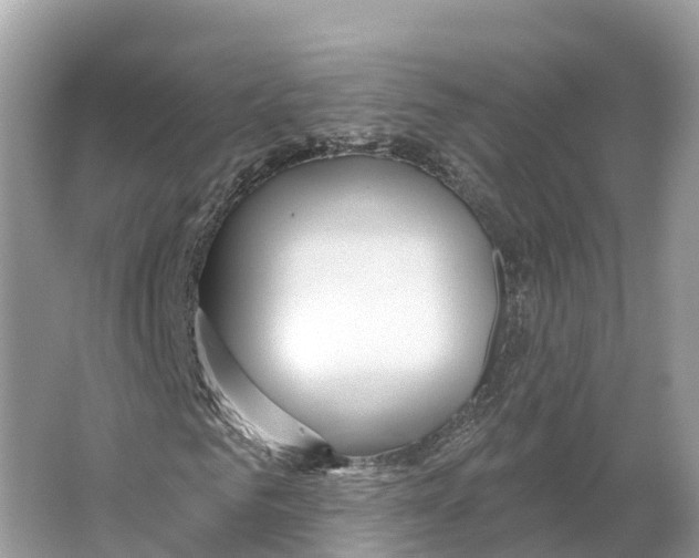 X0000065950961200603311742