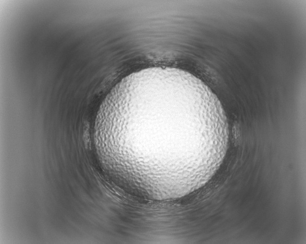 X0000065950963200603311742