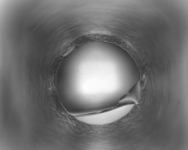X0000065950965200603311742