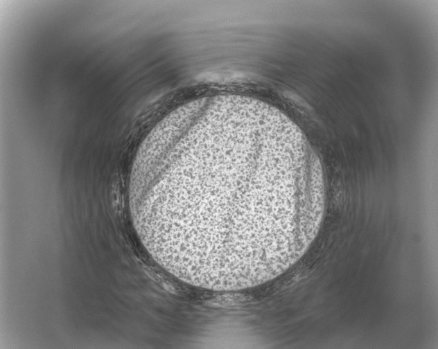 X0000065950966200603311742