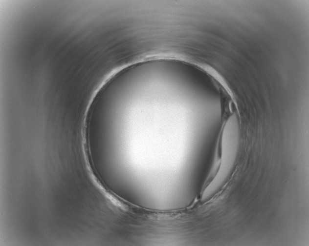 X0000065951005200603311741