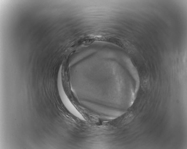 X0000065951010200603311740