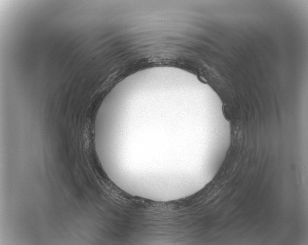 X0000065951012200603311740