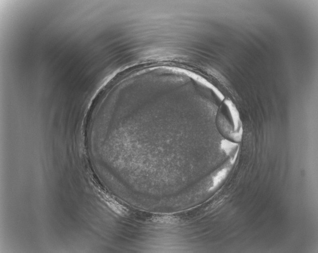 X0000065951023200603311740