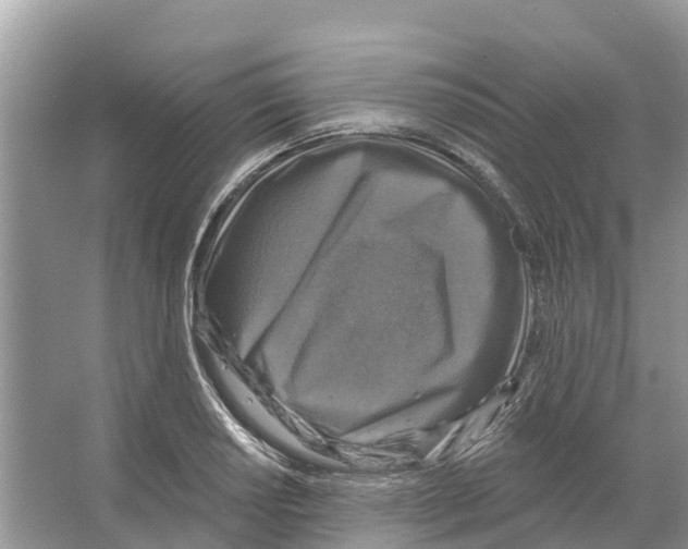 X0000065951034200603311740