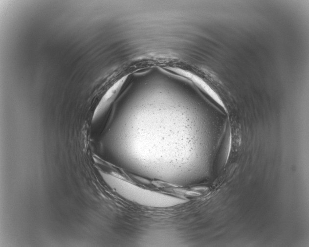 X0000065951110200603311739