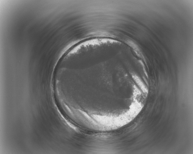 X0000065951141200603311739