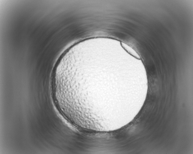 X0000065951142200603311739