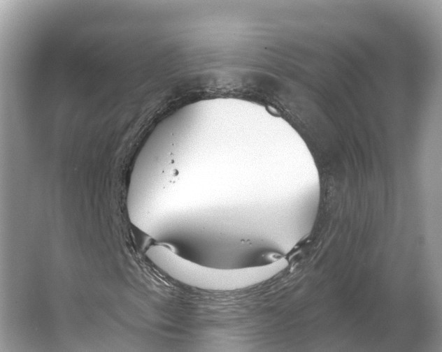 X0000065951153200603311738