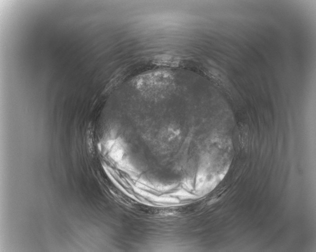 X0000065951154200603311738