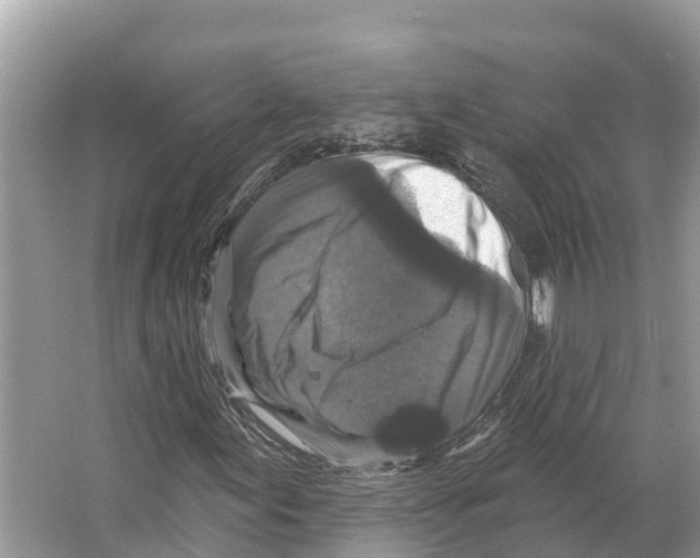 X0000065951155200603311738