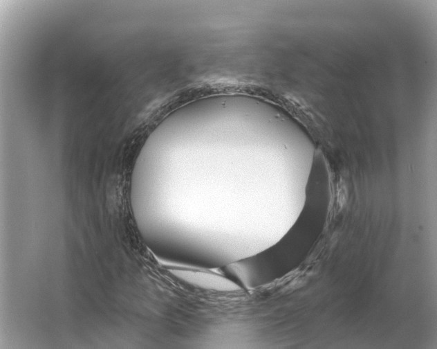 X0000065951157200603311738