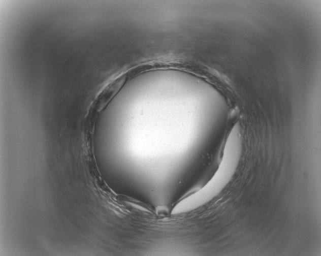 X0000065951160200603311738