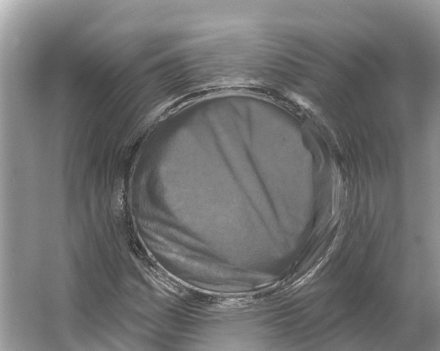 X0000065951161200603311738