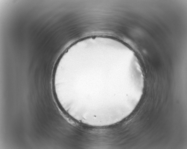 X0000065951237200603311737