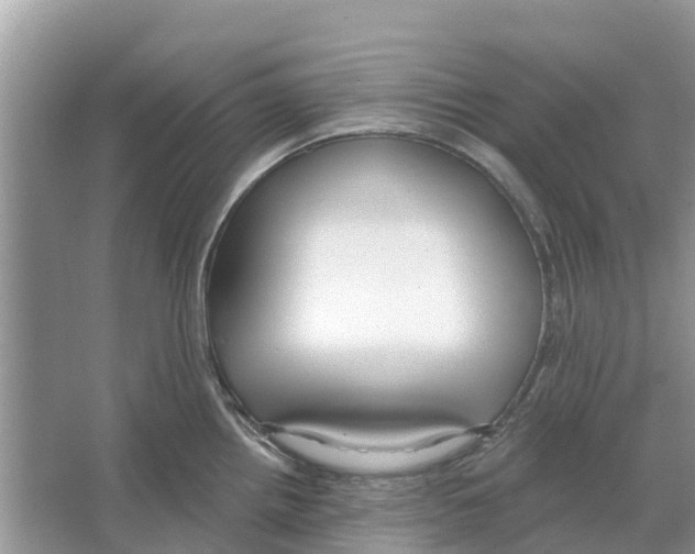 X0000065951242200603311738