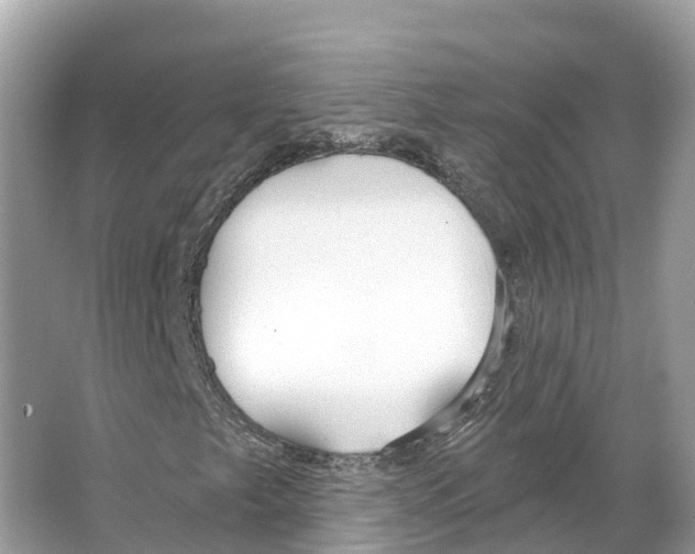 X0000065951249200603311737