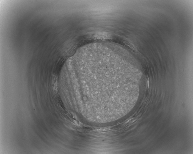 X0000065951251200603311737