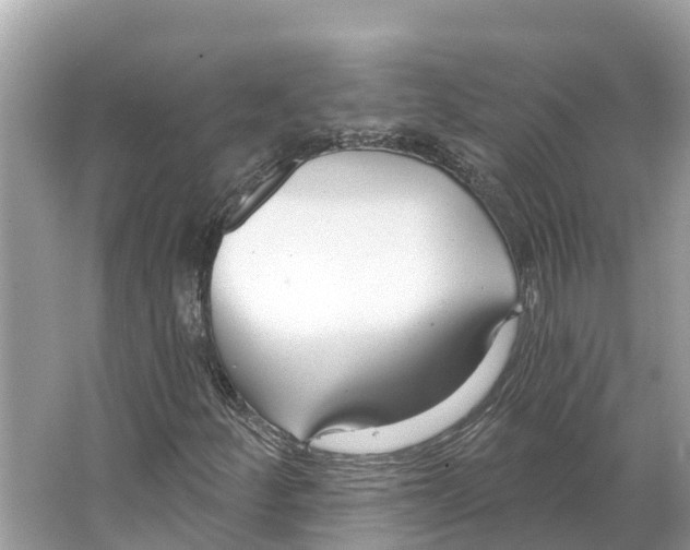 X0000065951252200603311737