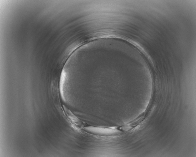 X0000065951289200603311736