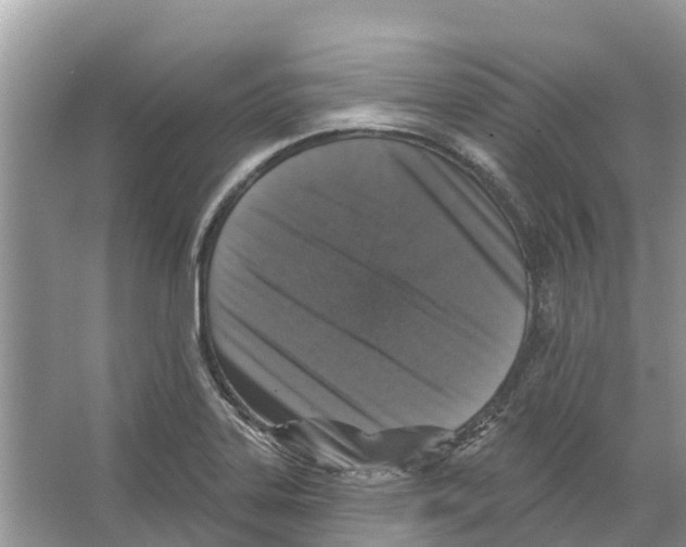 X0000065951323200603311736