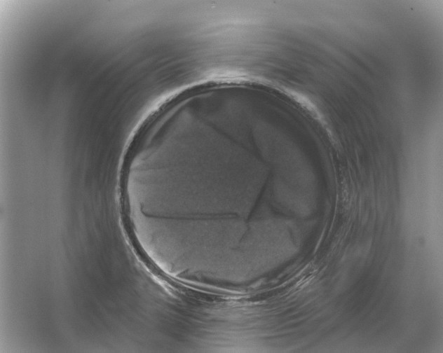 X0000065951327200603311736