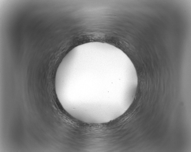 X0000065951345200603311735