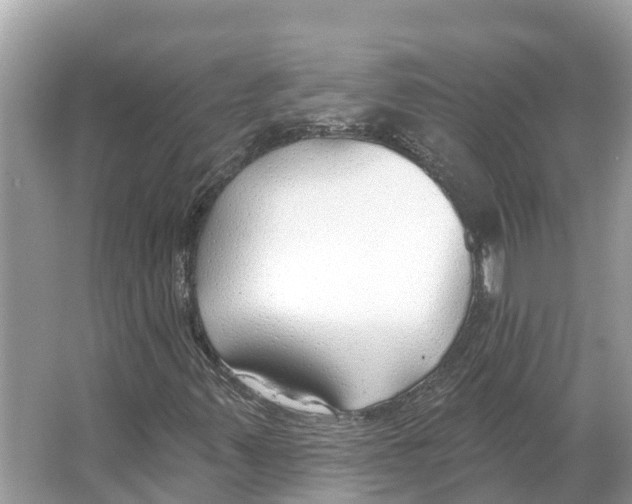 X0000065951347200603311735