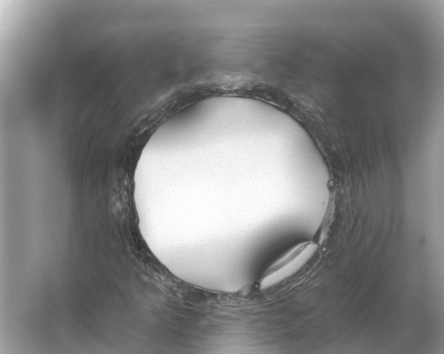 X0000065951349200603311735