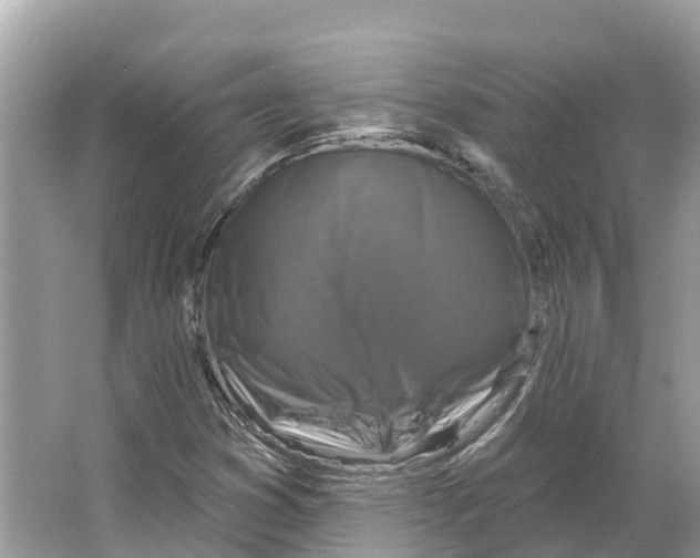 X0000065951353200603311735