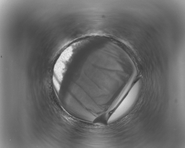 X0000065951359200603311735