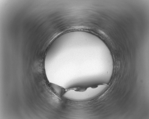 X0000065951361200603311735