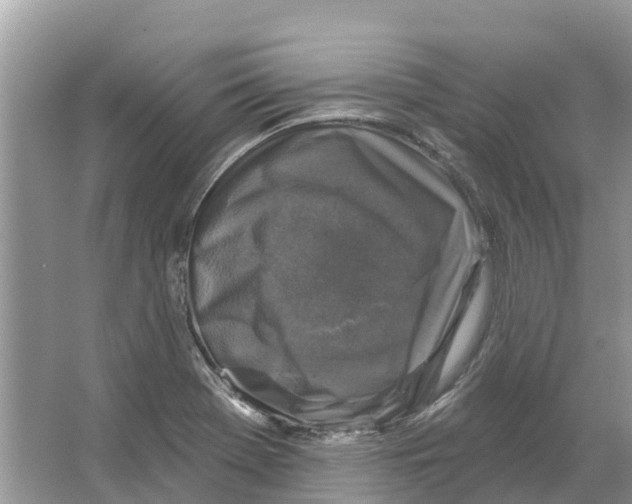 X0000065951369200603311735