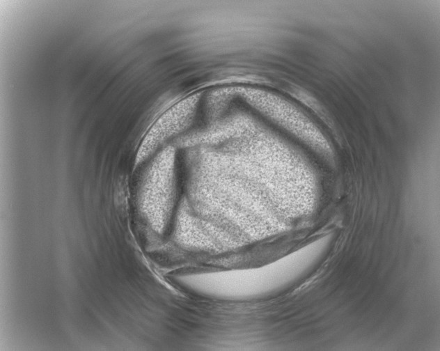 X0000065951377200603311735