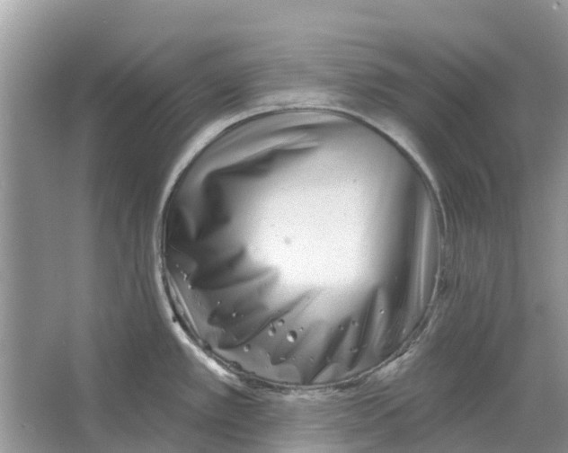 X0000065951389200603311734