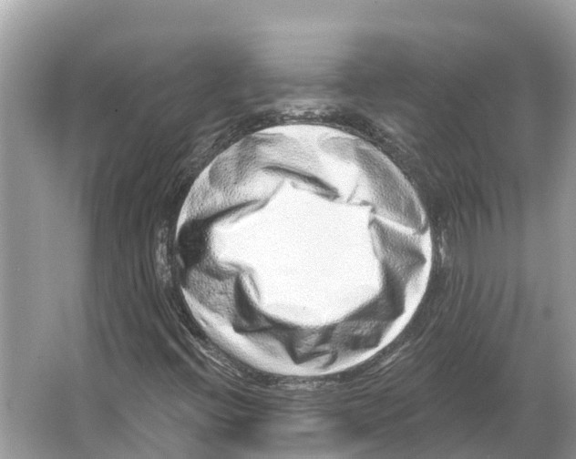 X0000065951396200603311734
