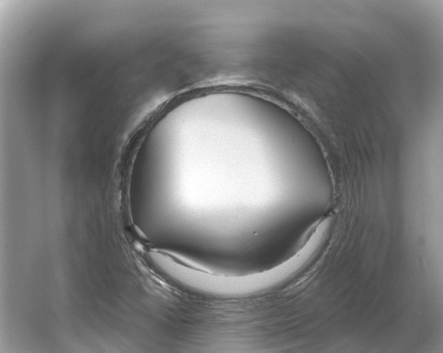 X0000065951406200603311734