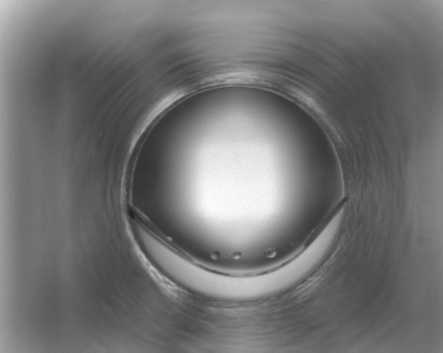 X0000065951426200603311734