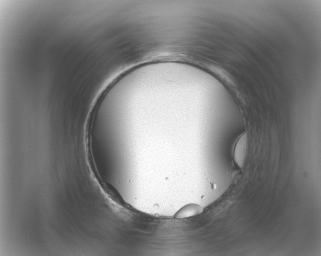 X0000065951430200603311734