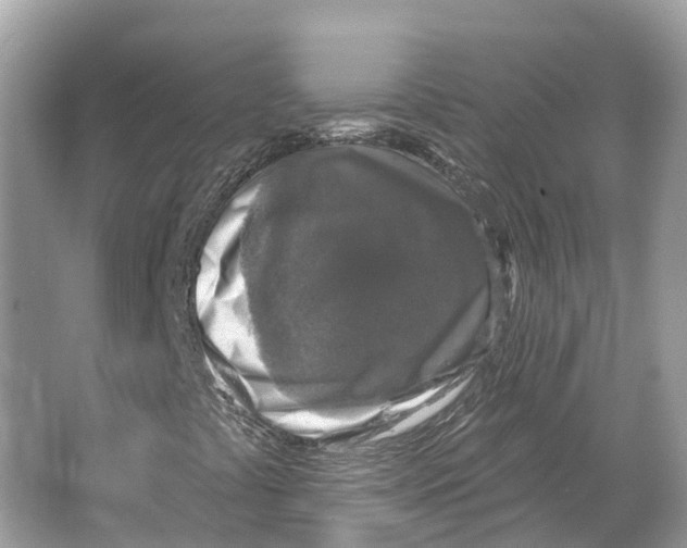 X0000065951441200603311734