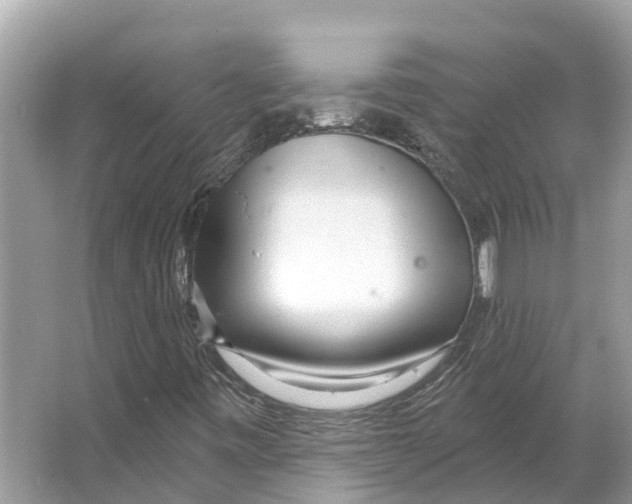 X0000065951443200603311734