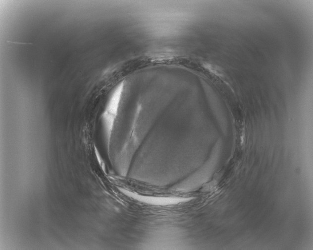X0000065951445200603311734