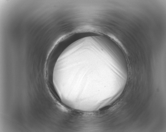 X0000065951477200603311733