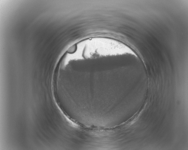 X0000065951533200603311733