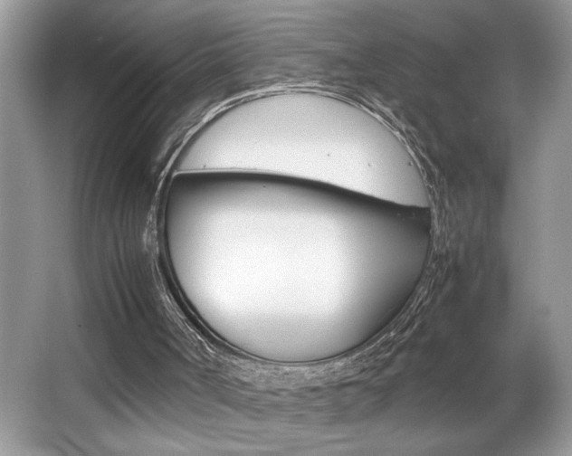 X0000065960002200603030941