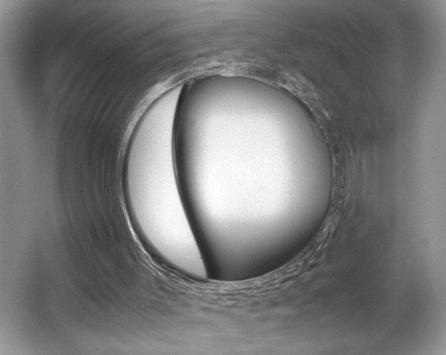 X0000065960003200603030941