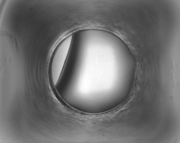 X0000065960007200603030941