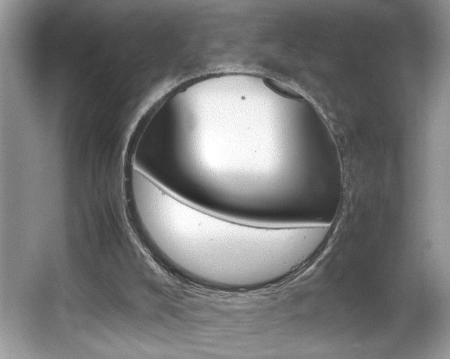 X0000065960008200603030941