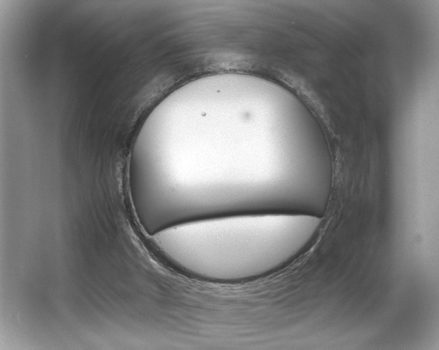X0000065960010200603030941