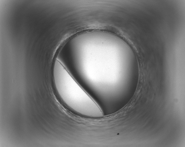 X0000065960011200603030941